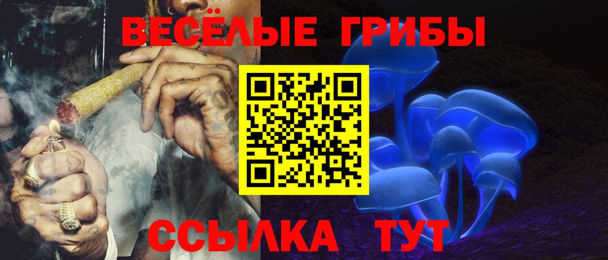 Керчь  Псилоцибиновые грибы Psilocybine cubensis  Вход с VPN 
